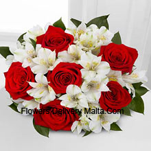 Bunch Of 7 Red Roses And Seasonal White Flowers Delivered in Malta