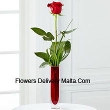 A Single Red Rose In A Red Test Tube Vase Delivered in Malta