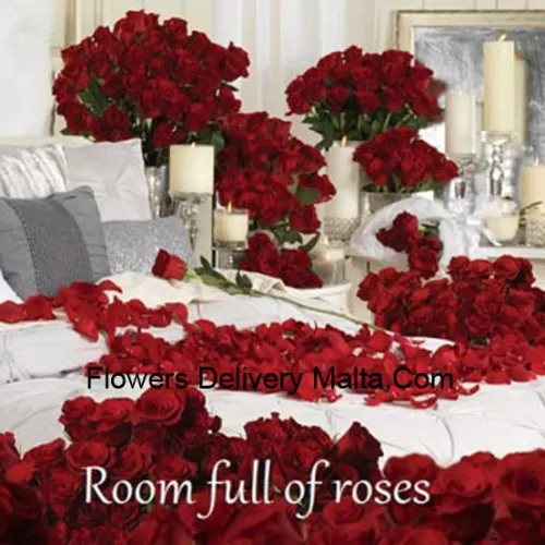 Our Room Full Of Roses Has Many Red Rose Arrangements - Total Number Of Roses In The Package Are 501